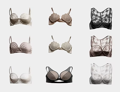 Fashionable Women's Bras with Various Styles Colors and Lace Details 3d model Fashionable Women's Bras with Various Styles Colors and Lace Details 3d model
