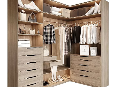 Modern Wooden Wardrobe Interior With Hanging Clothes Drawers Storage Boxes And Shoes 3d model