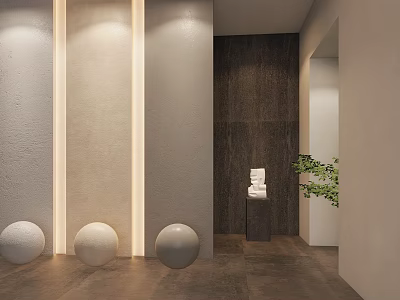 Modern Interior With Light Colored Walls Dark Wooden Wall Three White Spheres Sculpture And Greenery 3d model