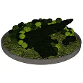 Bonsai Potted Plant with Green Moss Stones and Rounded Foliage in Circular Container