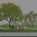 Lush Deciduous Tree in Garden Landscape With Shrubs Flowers Stones and Lawn