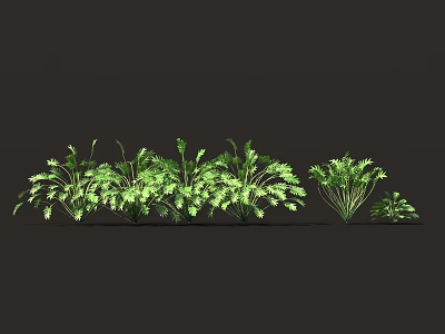 Various Green Leafy Plants With Beautiful Foliage Shapes And Natural Arrangement 3d model