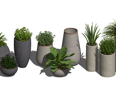 Various Bonsai Potted Plants With Different Shaped Planters And Green Foliage 3d model