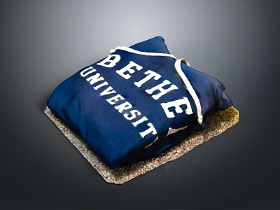 BETHE UNIVERSITY Blue Decorative Pillow With White Lettering For Home Living Accessories 3d model