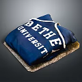 BETHE UNIVERSITY Blue Decorative Pillow With White Lettering For Home Living Accessories