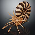 Nautilus Marine Animal With Detailed Striped Spiral Shell And Intricate Tentacles