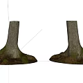 Natural Stone And Wood Tree Trunks With Exposed Roots In Natural Landscape