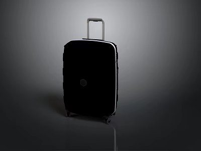 Black Hard Shell Luggage With Telescopic Handle And Rolling Wheels 3d model