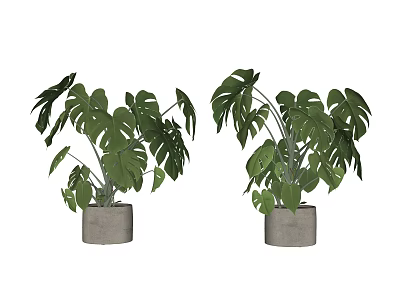 Modern potted plant potted plant green plant ornaments potted plant ornaments 3d model