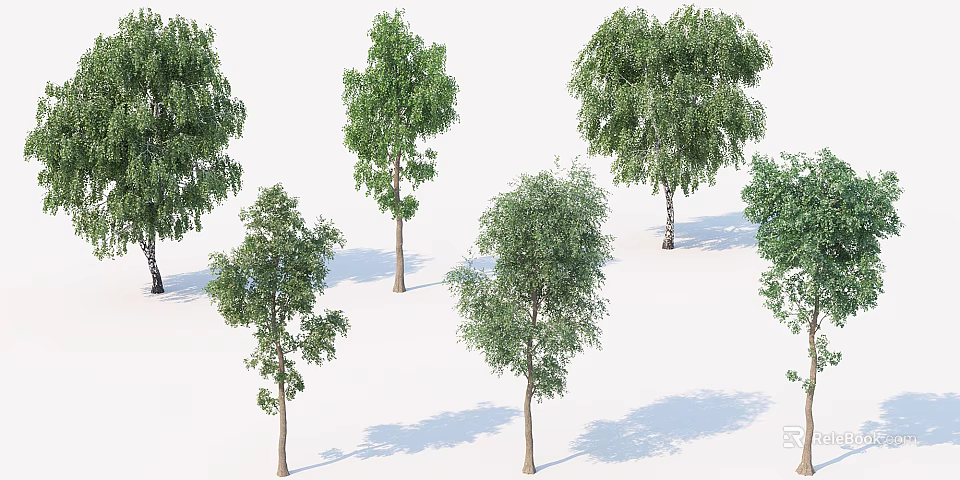 Multiple Arbor Trees With Green Foliage And Shadows On White Background 3d model