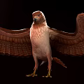 Brown Eagle Spreading Wings Soaring In Flight With Detailed Feathers And Powerful Stance
