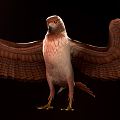 Modern Eagle Raptor Sculpture 3d model