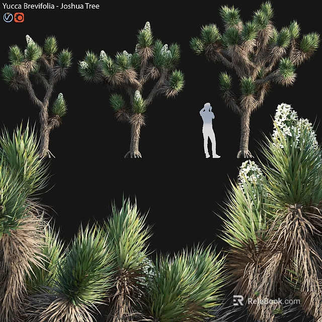 Natural Decorative Ornament Set with Palm Trees Green Plants and White Figure Silhouette 3d model 