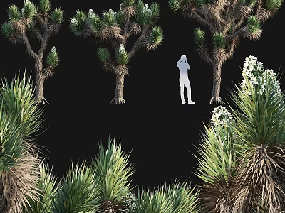 Natural Decorative Ornament Set with Palm Trees Green Plants and White Figure Silhouette 3d model