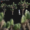 Natural Decorative Ornament Set with Palm Trees Green Plants and White Figure Silhouette