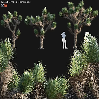 Natural Decorative Ornament Set with Palm Trees Green Plants and White Figure Silhouette 3d model