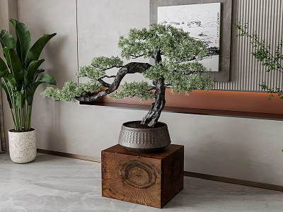 Elegant Pine Bonsai Plant in Ceramic Pot on Wooden Stand for Indoor Home Decor 3d model