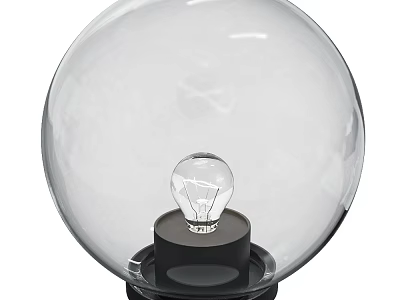 Modern Outdoor Light Featuring Transparent Globe Design With Inner Bulb On Black Base 3d model