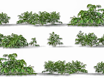 Potato Crops Plant Combination Wild Vegetable Crops Shrub Plant Vegetable Plant Potato Plant 3d model