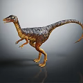 Realistic Dinosaur 3D Model With Detailed Skin Sharp Teeth And Long Tail Standing Pose