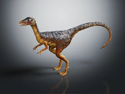 Realistic Dinosaur 3D Model With Detailed Skin Sharp Teeth And Long Tail Standing Pose 3d model