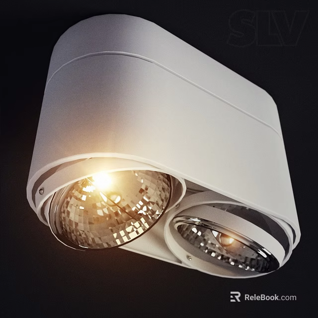 White Downlight Spotlight With Double Illuminated Heads Ceiling Mounted Modern Design 3d model 