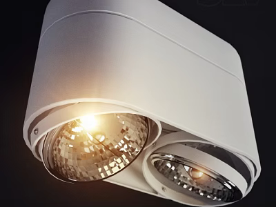 White Downlight Spotlight With Double Illuminated Heads Ceiling Mounted Modern Design 3d model