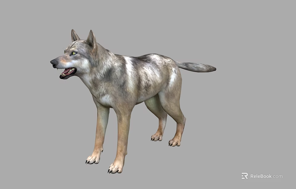Realistic 3D Wolf Model With Standing Pose And Natural Fur Details 3d model
