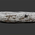 Natural Wooden Log with White Coated Surface and Detailed Texture on Reflective Background