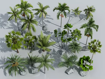 Various Types of Shrubs and Palm Trees with Decorative Stones in Garden 3d model