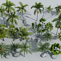 Various Types of Shrubs and Palm Trees with Decorative Stones in Garden