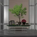 Stylish Console Table With Green Plant Photo Frames Red Decoration And Shutter Background