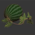Fresh Green Striped Watermelon With Natural Green Leaves On Dark Background