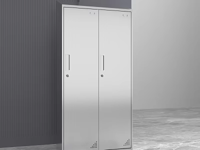Modern Silver Double Door Wardrobe With Sleek Metallic Finish In Minimalist Room 3d model