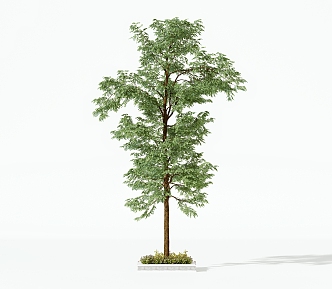 modern trees shrubs 3d model