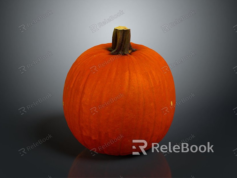 Pumpkin Pumpkin Cartoon Pumpkin Anime Pumpkin Style Pumpkin Fantasy Style Pumpkin Vegetable model