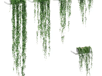Decorative Plant Arrangement With Hanging Green Vines On White Shelves For Indoor Home Decor 3d model