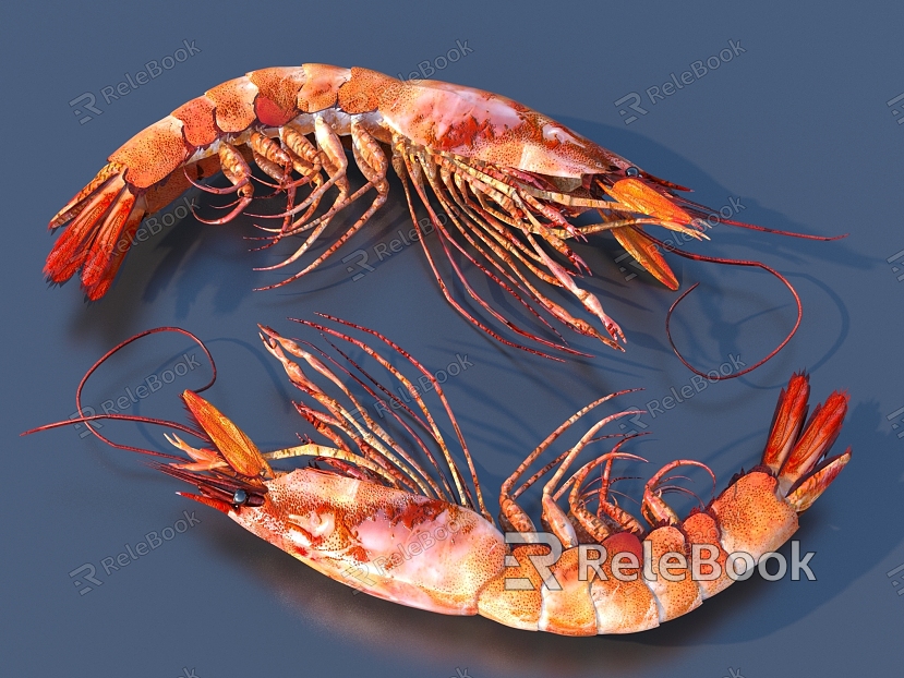 Shrimp Lobster Lobster Crystal Lobster model