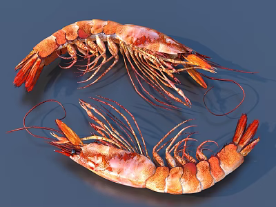 Two Vibrant Red Shrimp With Long Antennae And Segmented Shells On Blue Background 3d model