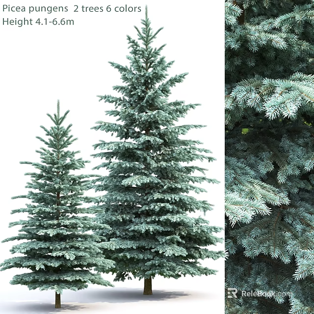 Pine Tree Ornament Set With Different Sizes And Detailed Needle Features 3d model 