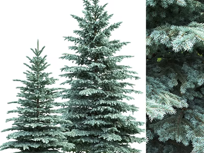 Pine Tree Ornament Set With Different Sizes And Detailed Needle Features 3d model
