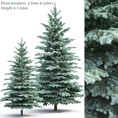 Pine Tree Ornament Set With Different Sizes And Detailed Needle Features 3d model