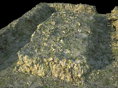 Rough Earth Structure With Dirt Stones And Green Moss Covered Surface 3d model