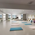 School Fitness Studio Featuring Bright Interior Colorful Yoga Mats Exercise Balls Dance Silhouettes And Trophies