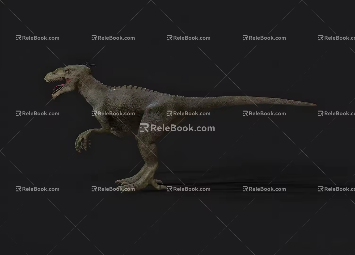 Realistic Velociraptor Realistic Jurassic Animal Dinosaur Velociraptor Reptile Movie Game 3d model