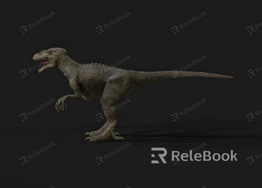 Realistic Velociraptor Realistic Jurassic Animal Dinosaur Velociraptor Reptile Movie Game model