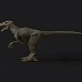 Realistic Velociraptor Realistic Jurassic Animal Dinosaur Velociraptor Reptile Movie Game 3d model