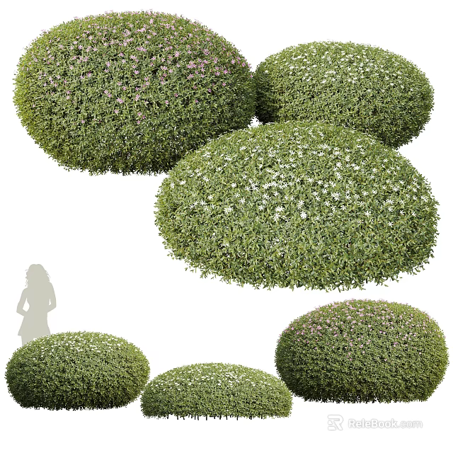 Lush Rounded Shrubs With Green Foliage And White Flowers For Garden Landscaping 3d model 