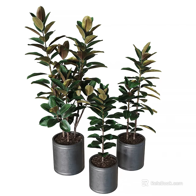 Decorative Ornament Set With Various Heights Green Plants In Metal Pots For Indoor Decoration 3d model 