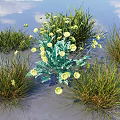 Lush Green Grasses And Vibrant Yellow Flowers Growing In Natural Clusters